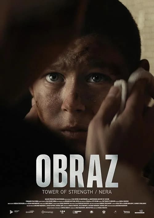 Obraz film posteri
