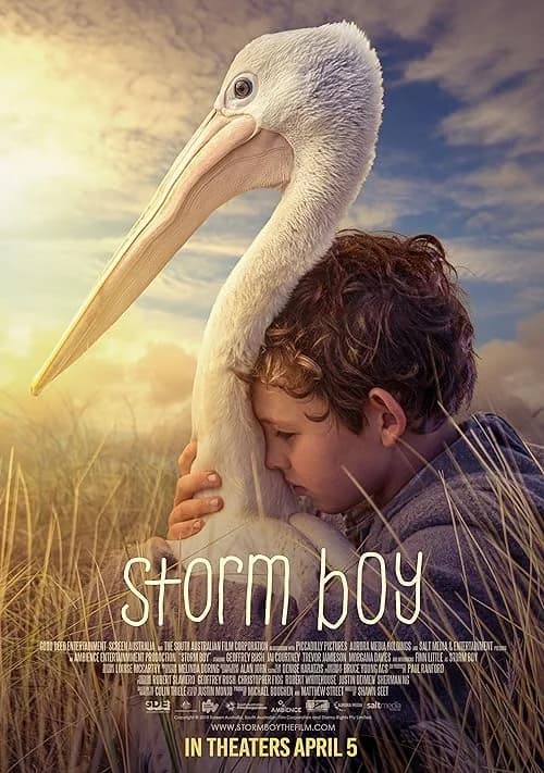 Storm Boy film posteri
